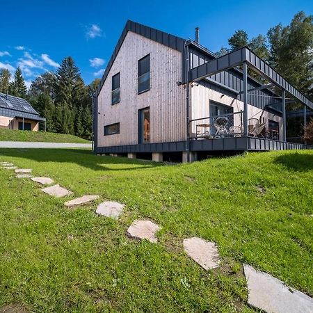 Holiday House U Hajenky 13P Lipno Home Lipno nad Vltavou Extérieur photo