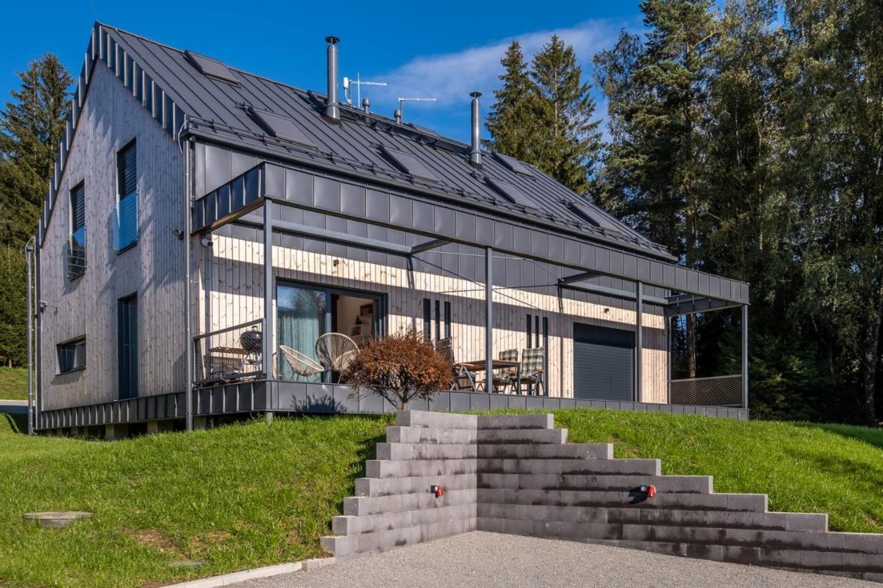Holiday House U Hajenky 13P Lipno Home Lipno nad Vltavou Extérieur photo