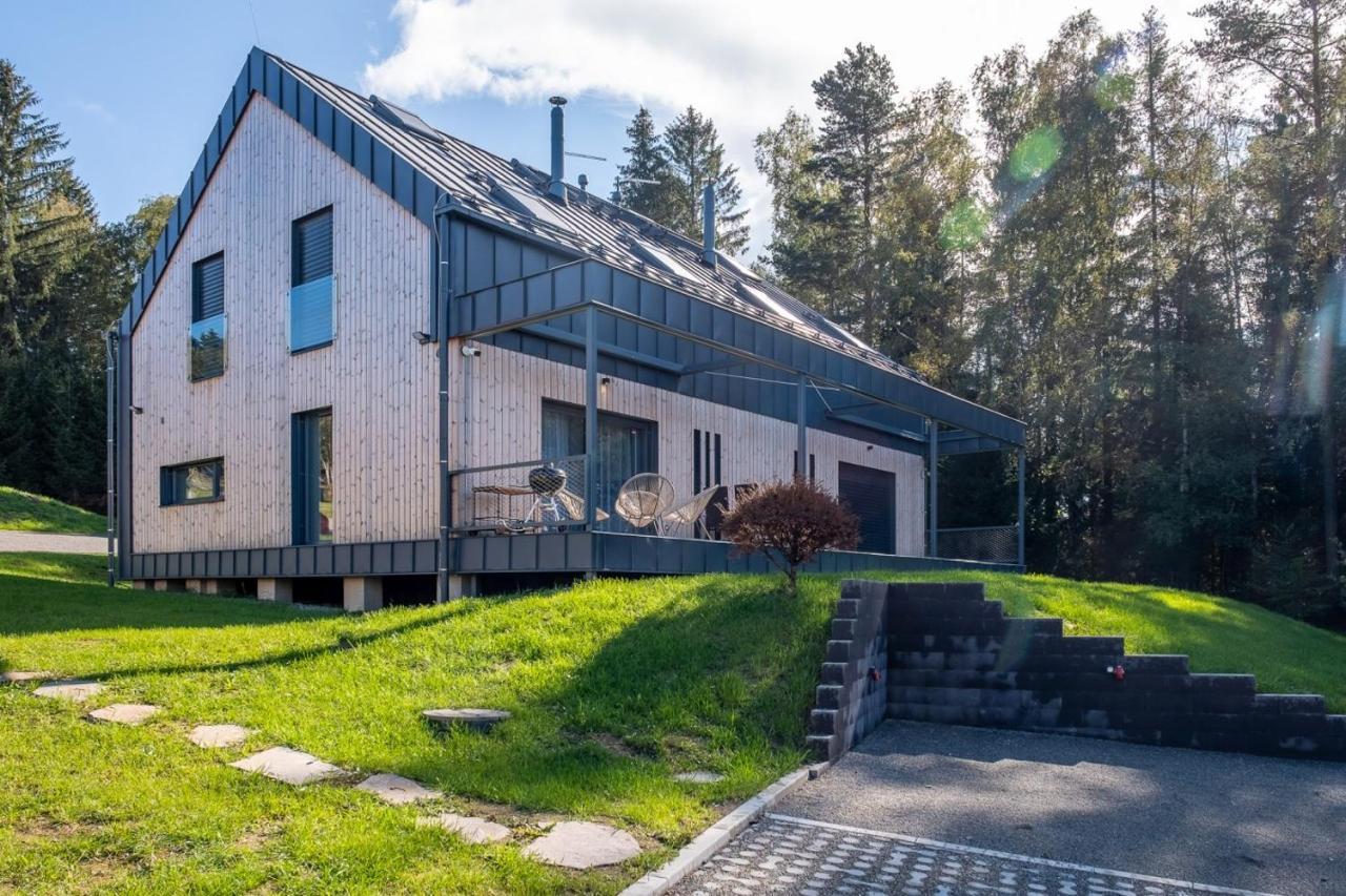Holiday House U Hajenky 13P Lipno Home Lipno nad Vltavou Extérieur photo